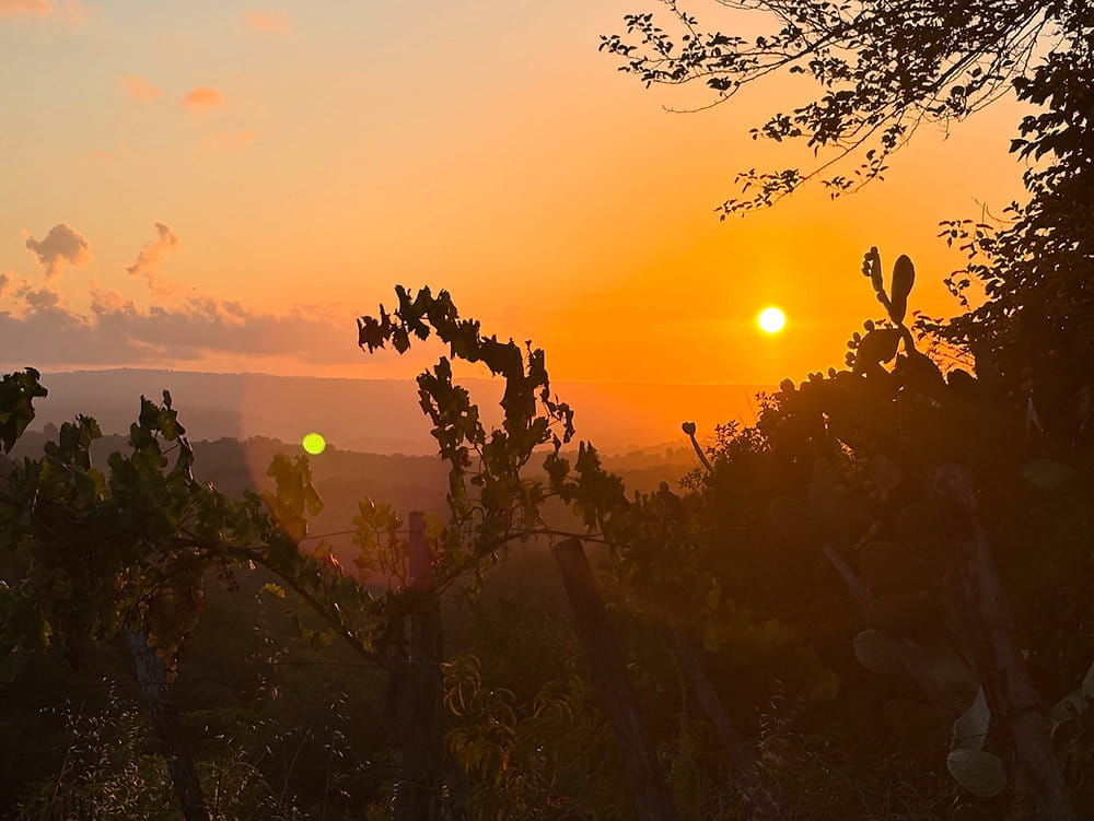 Why Do We Find Sunsets Beautiful?